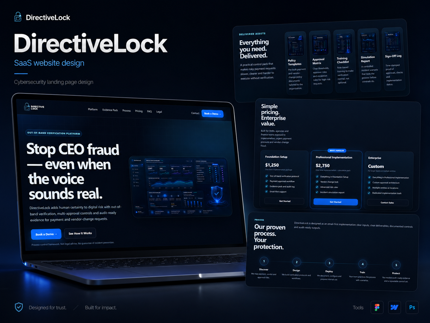 DirectiveLock SaaS website design mockup